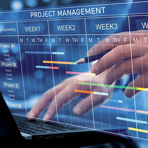 Project Management Professional (PMP) - SBM