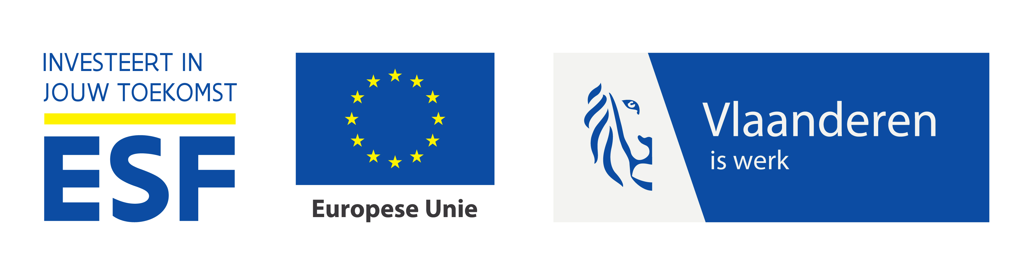 Logo ESF - Europese Unie - Vlaanderen is werk