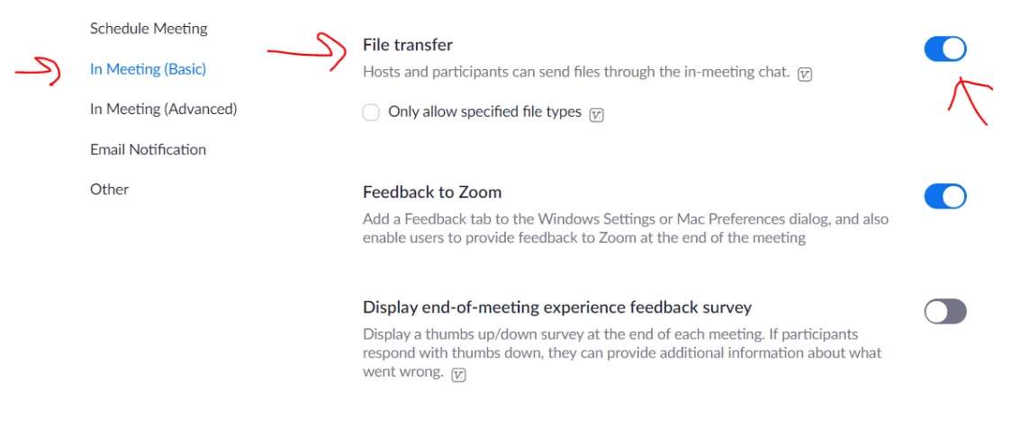 Zoom file transfer